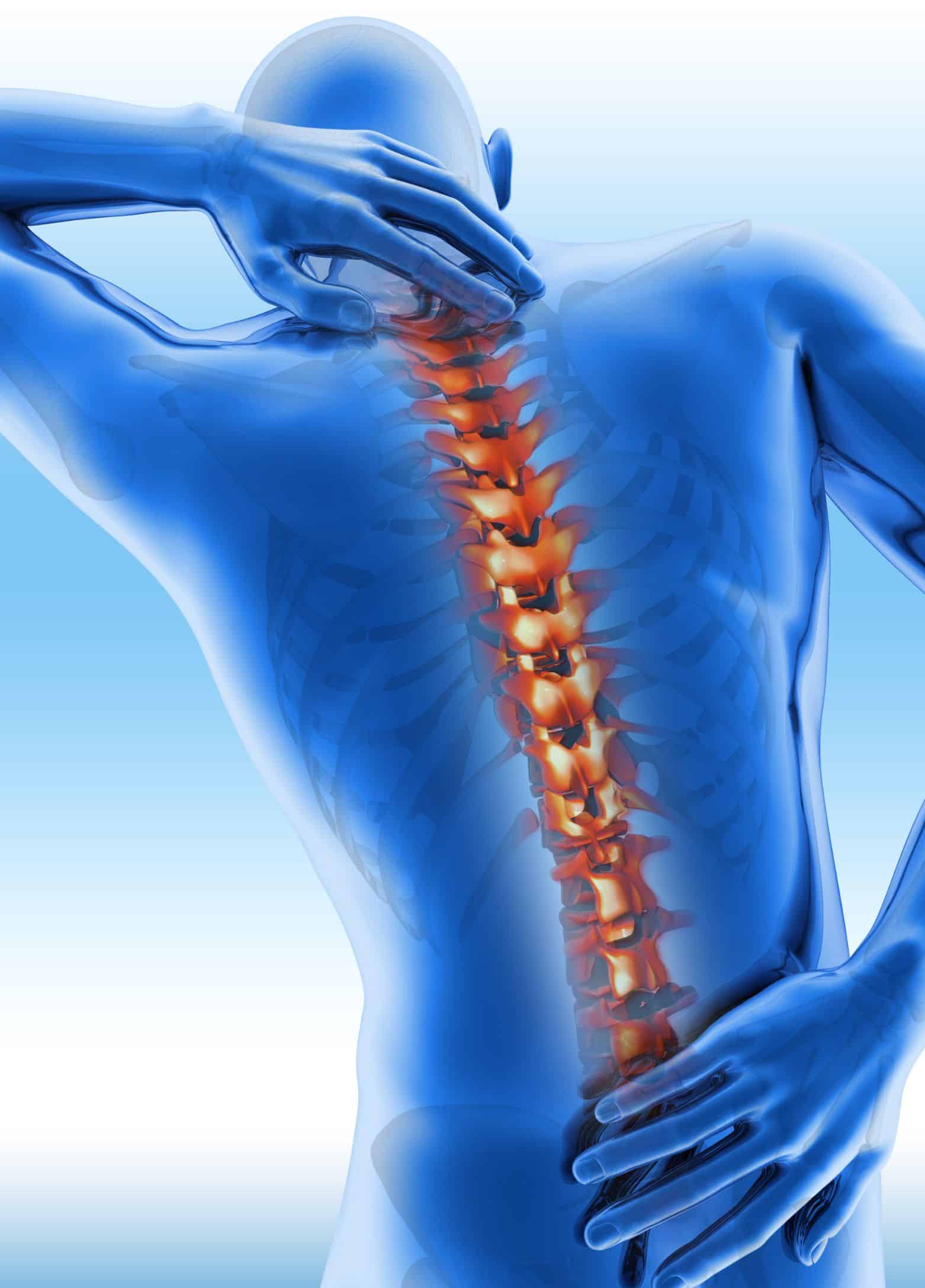 Lower Back Pain 3D Illustration